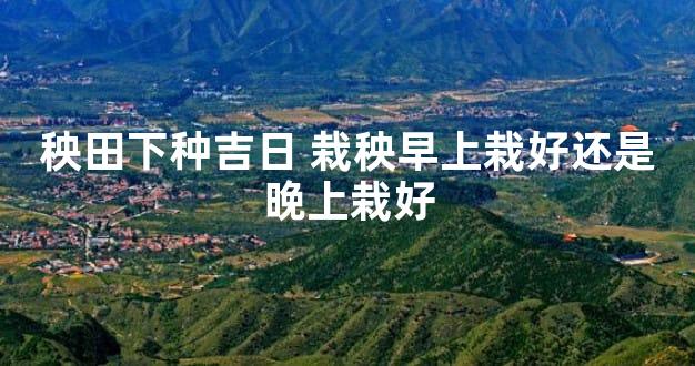 秧田下种吉日 栽秧早上栽好还是晚上栽好